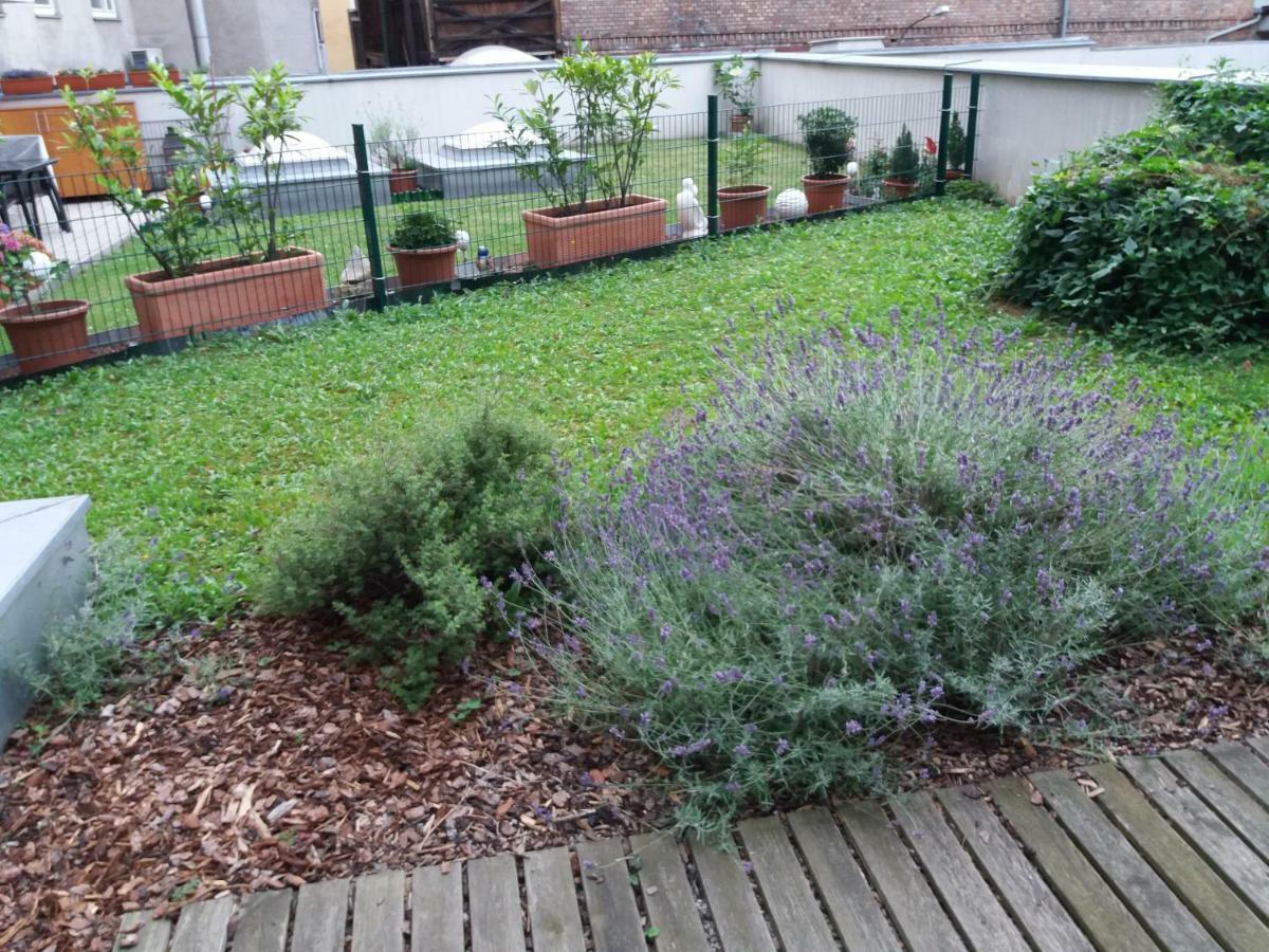 Terrassentraum Appartamento *